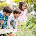 Preschool kids discovering nature