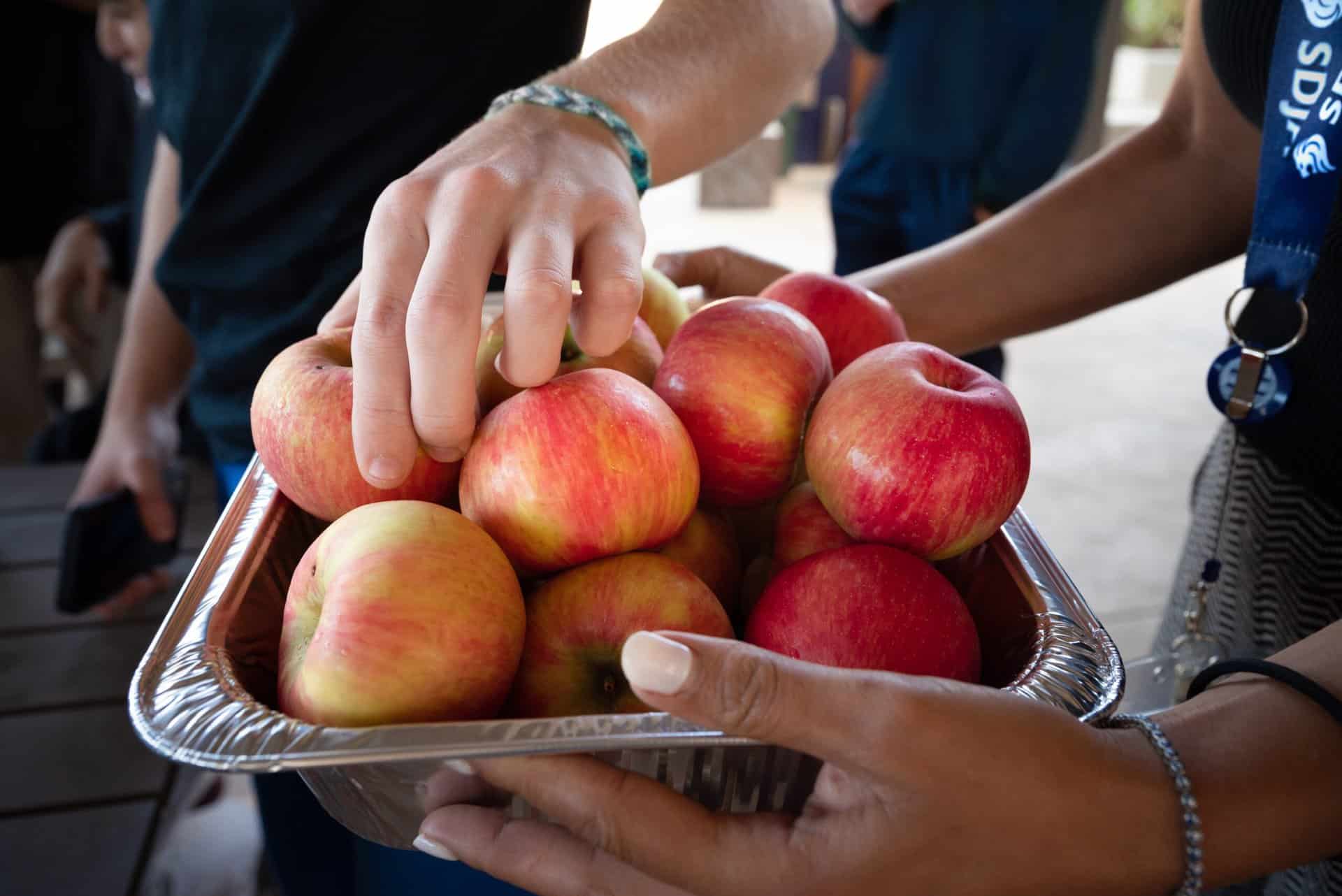 student hands grabbing apples from a tray