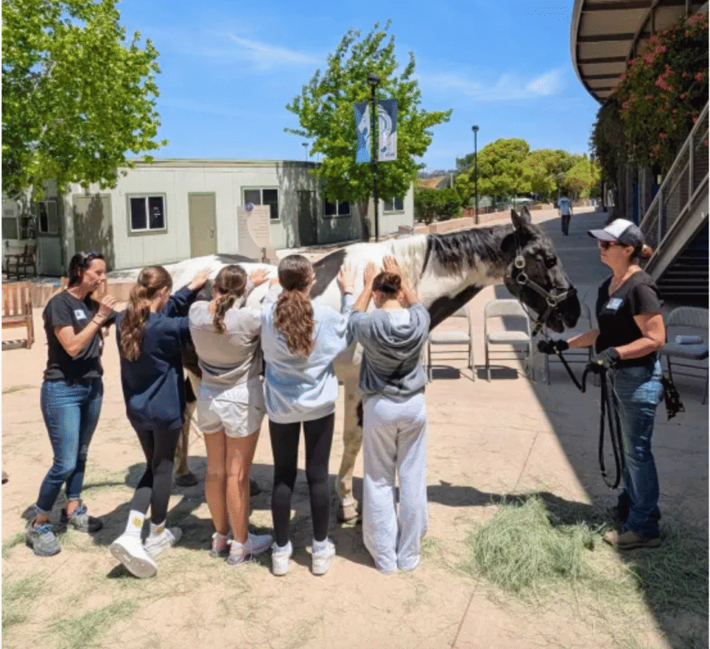 Screenshot 2026 02 10 At 2 16 14 PM