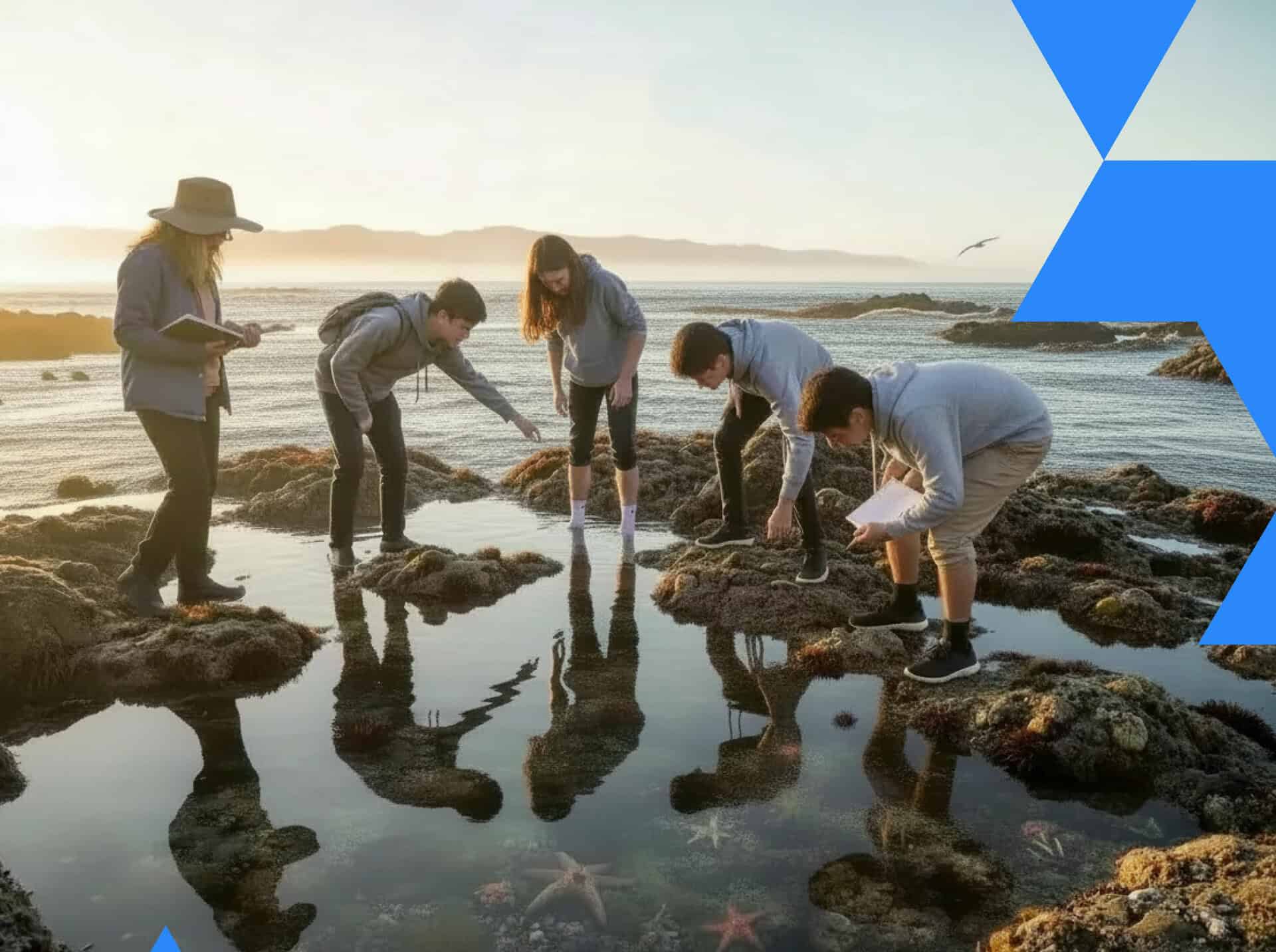 Students exploring a tide pool in the afternoon