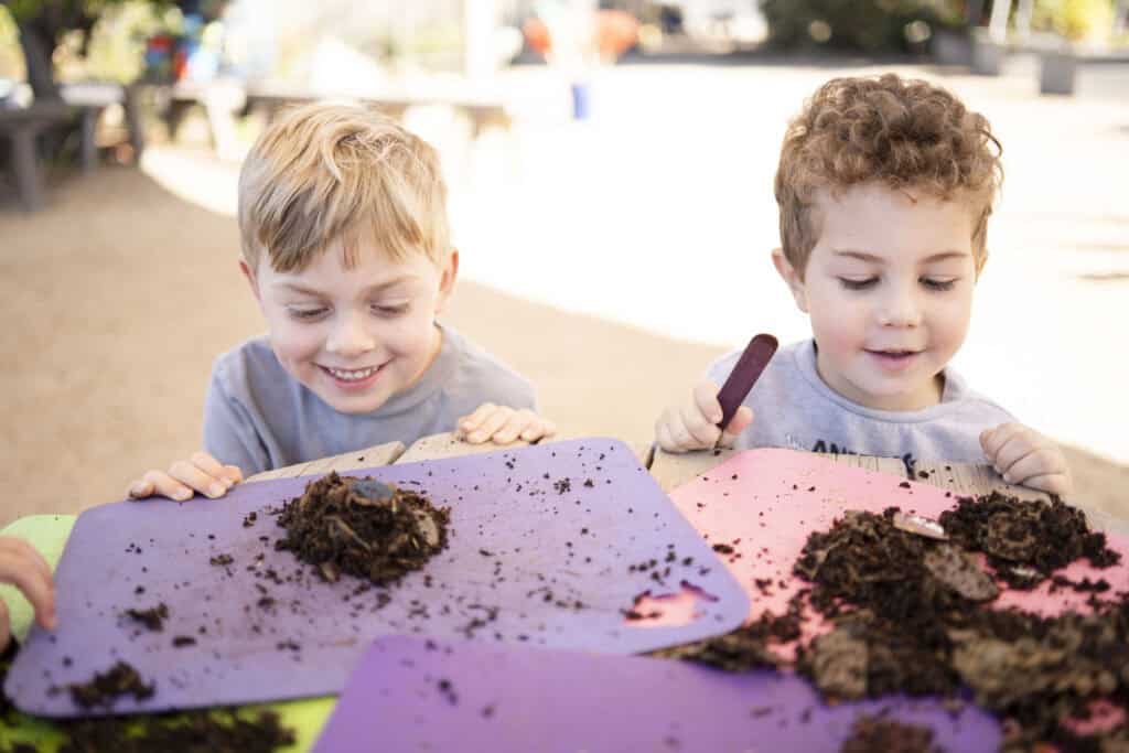 Preschoolers study dirt from a garden on a table