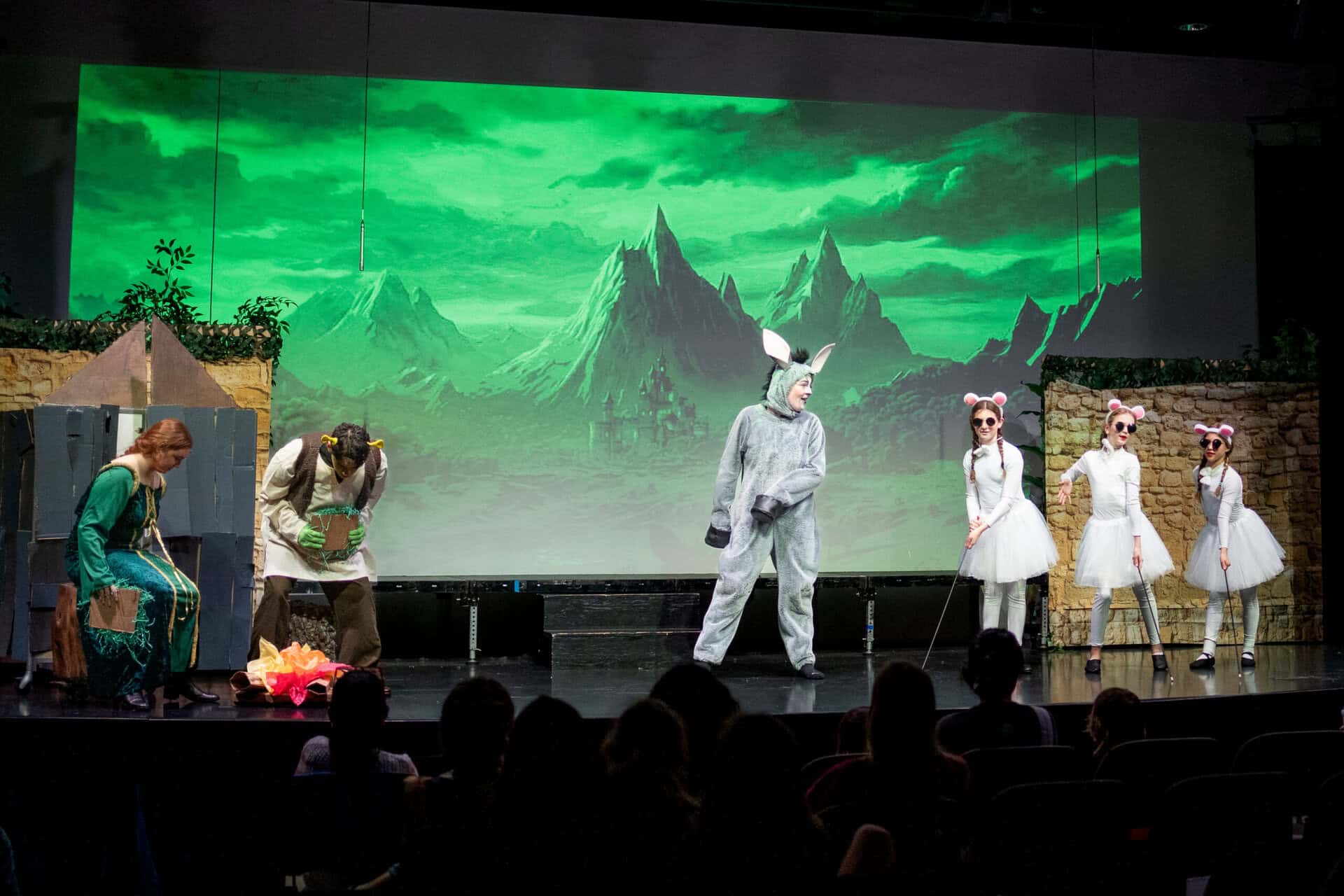 SDJA students dressed in costume during a school musical