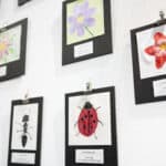 Flow and bug themed paintings hanging on a wall.