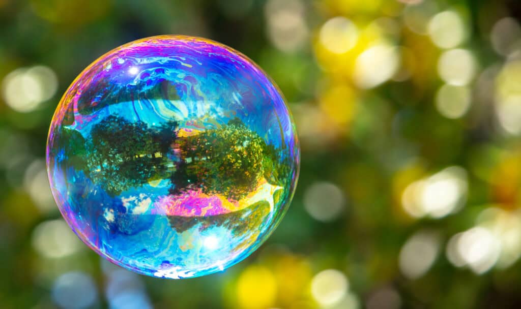 A Large Soap Bubble Flies In The Park