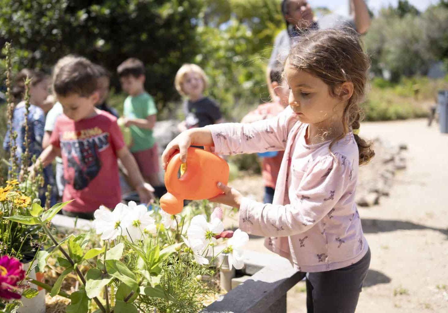 A girl using a watering pail to water flowers