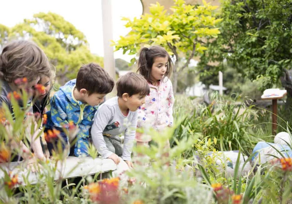 Preschool kids discovering nature