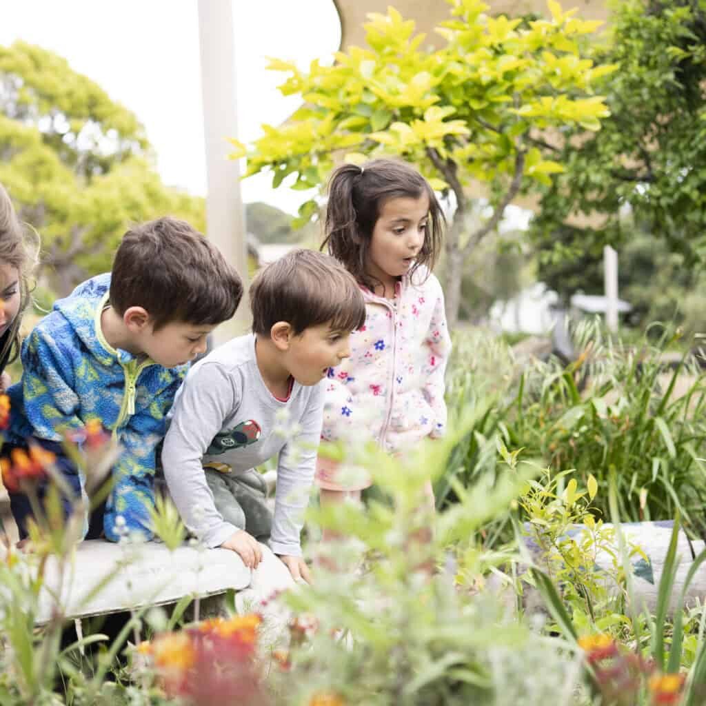 Preschool garden Preschool kids discovering nature